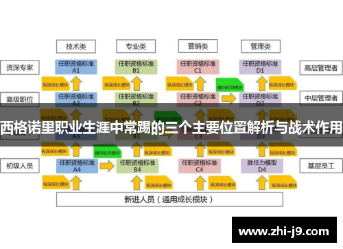 西格诺里职业生涯中常踢的三个主要位置解析与战术作用 西格诺里职业生涯中常踢的三个主要位置解析与战术作用